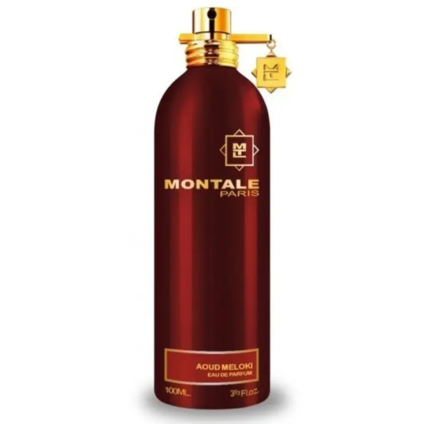 MONTALE AOUD FOREST - 100ML Eau de Parfum (Tester)